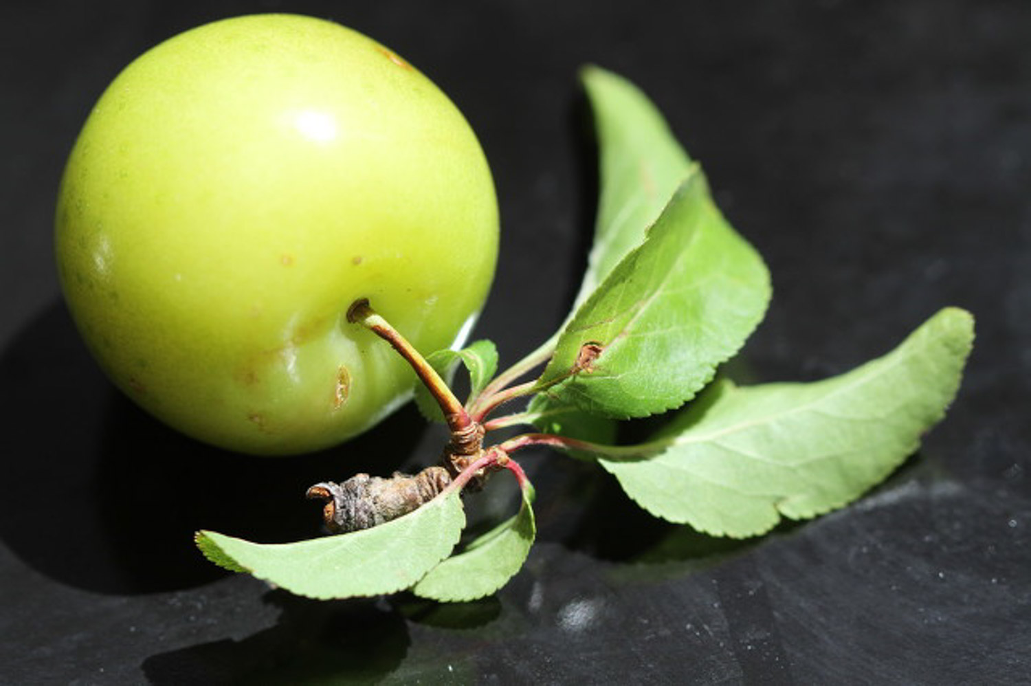 丑苹果是转基因吗，如何识别转基因苹果